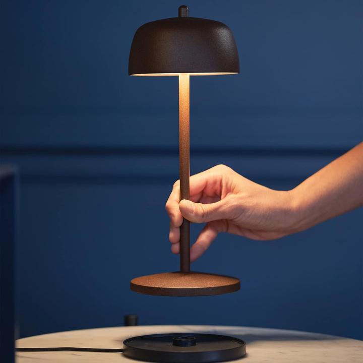 Image du produit Zafferano Theta