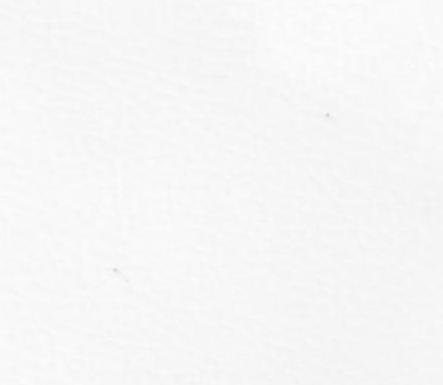 Image du produit vidaXL Soleil (80 x 200 cm)