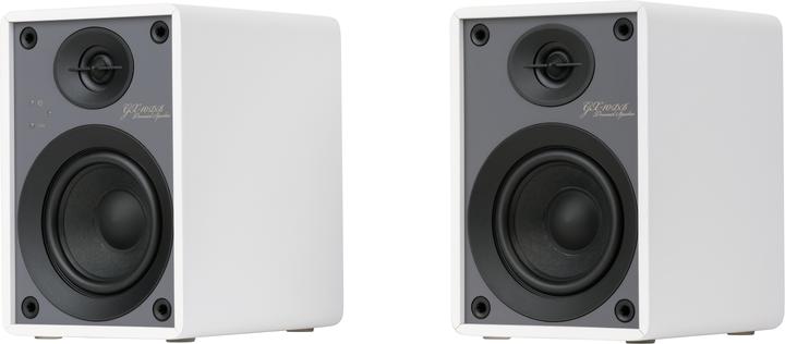 Onkyo GX-10DB (Aktiv, Paar, 2x 25 W)