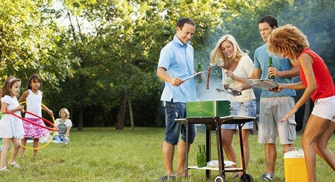 Actual product image Hermex Grill mat