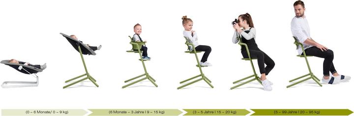 Actual product image Cybex Lemo (Highchair)
