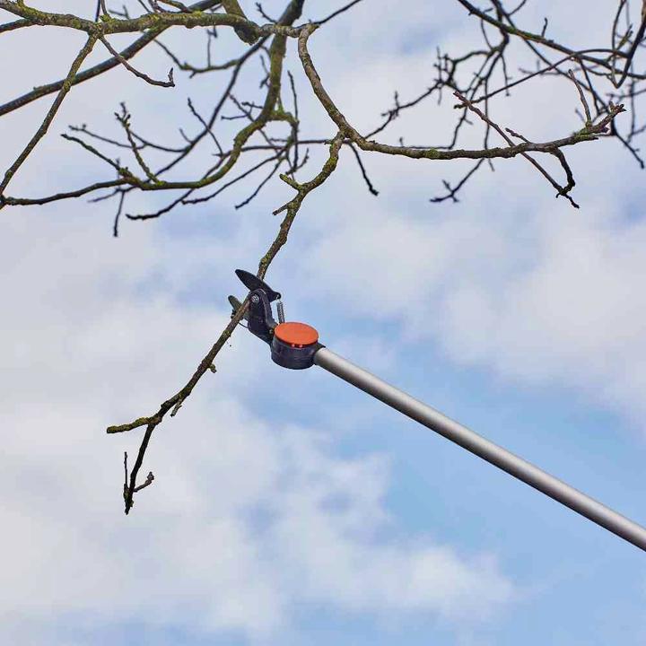 Actual product image Siena Garden Astschere