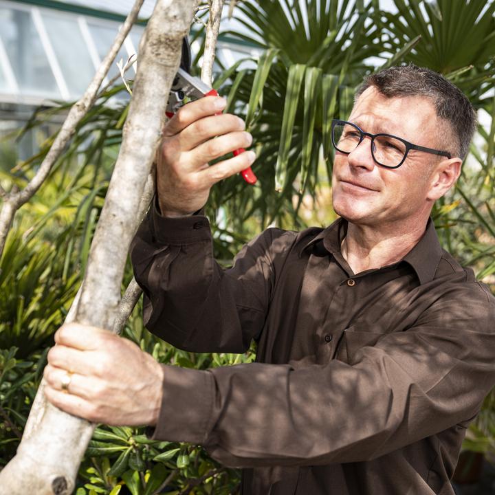 Produktbild Felco 11 Bypass Gartenschere für grosse Hände, für Rechtshänder