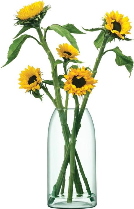 Image du produit LSA Canopy Vase H32cm recy. Optique