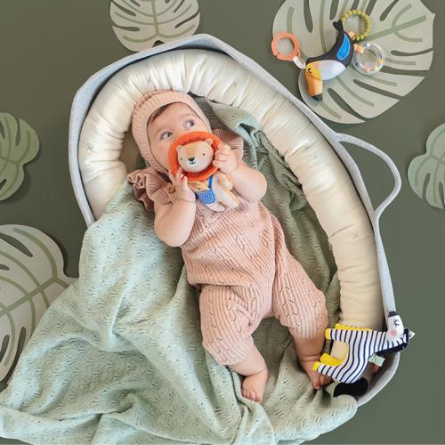 Actual product image Taf Toys Harry the Lion