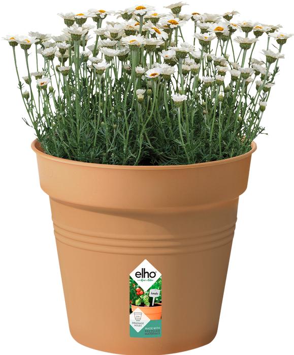 Actual product image Elho Green Basic (30 cm)