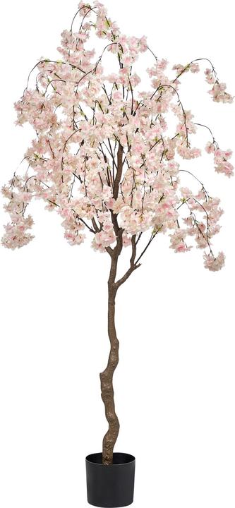 Immagine prodotto Beliani Cherry Tree (190 cm)