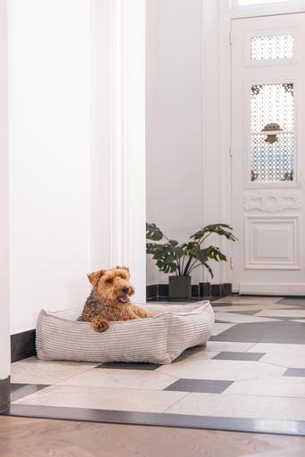 Immagine prodotto Designed by Lotte Divano letto a coste (Cane)