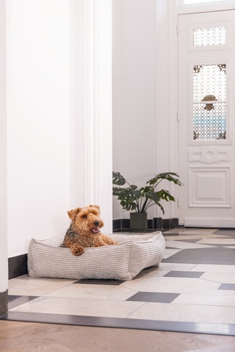 Immagine prodotto Designed by Lotte Divano letto a coste (Cane)