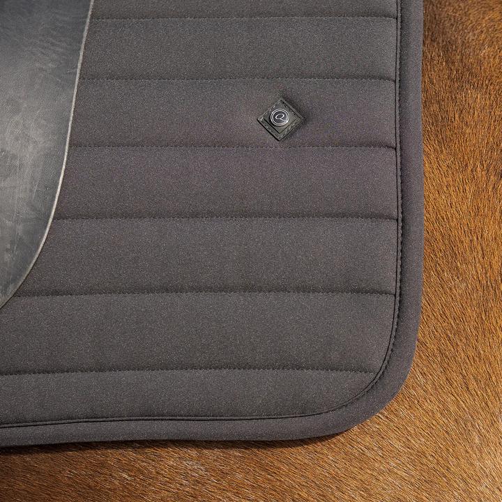 Actual product image Qhp Salerno