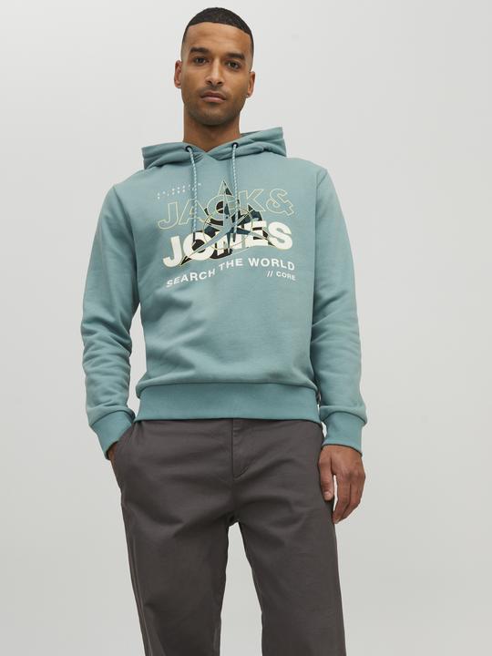 Image du produit Jack & Jones Logo Hoodie (M)