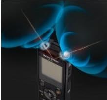Image du produit Olympus Système Om WS-883 (8 Go)