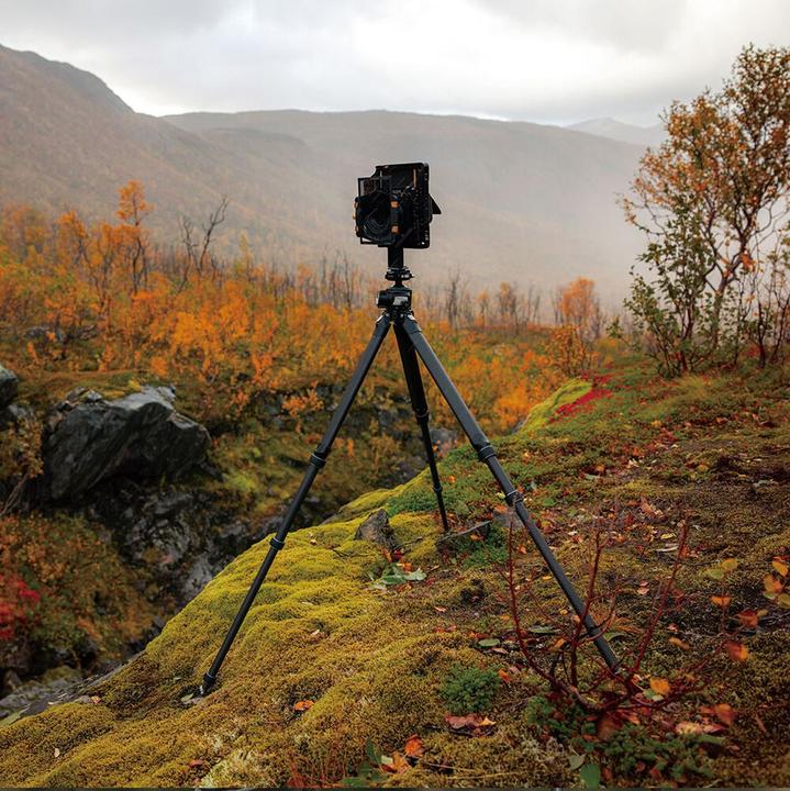 Actual product image Falcam TreeRoot Quick Lock Pro Tripod T00A4901 (Plastic)