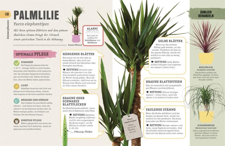 Produktbild So überleben Zimmerpflanzen garantiert (Deutsch, Veronica Peerless, 2018)