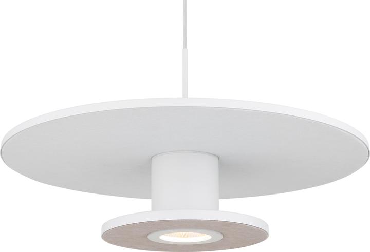 Image du produit Globo Carter (2550 lm)