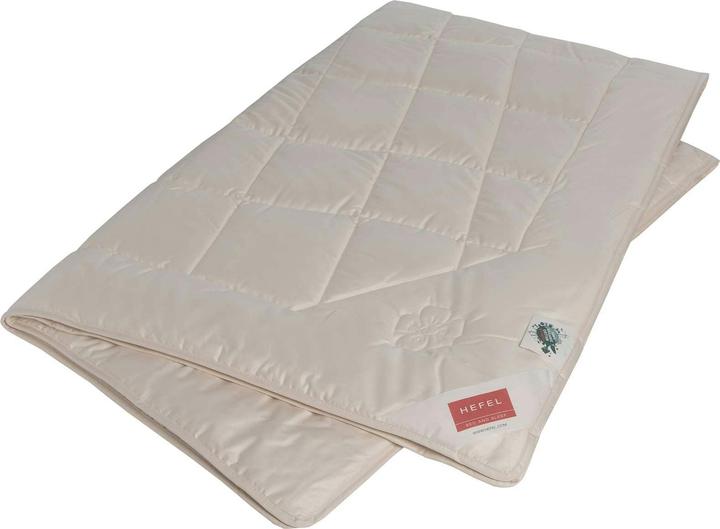 Image du produit Hefel Couette en lin bio (Coton, Lin, 200 x 210 cm)
