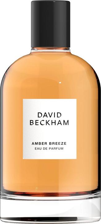 David Beckham Amber Breeze EDP spray 100ml (Eau de Parfum, 100 ml)