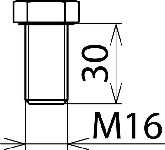 Actual product image Dehn Hexagon head screw DIN 933 M16x30mm NIRO 561931 (1 Screw per piece)