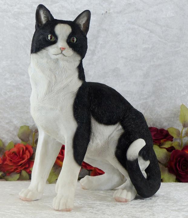 Immagine prodotto Mojo Cat