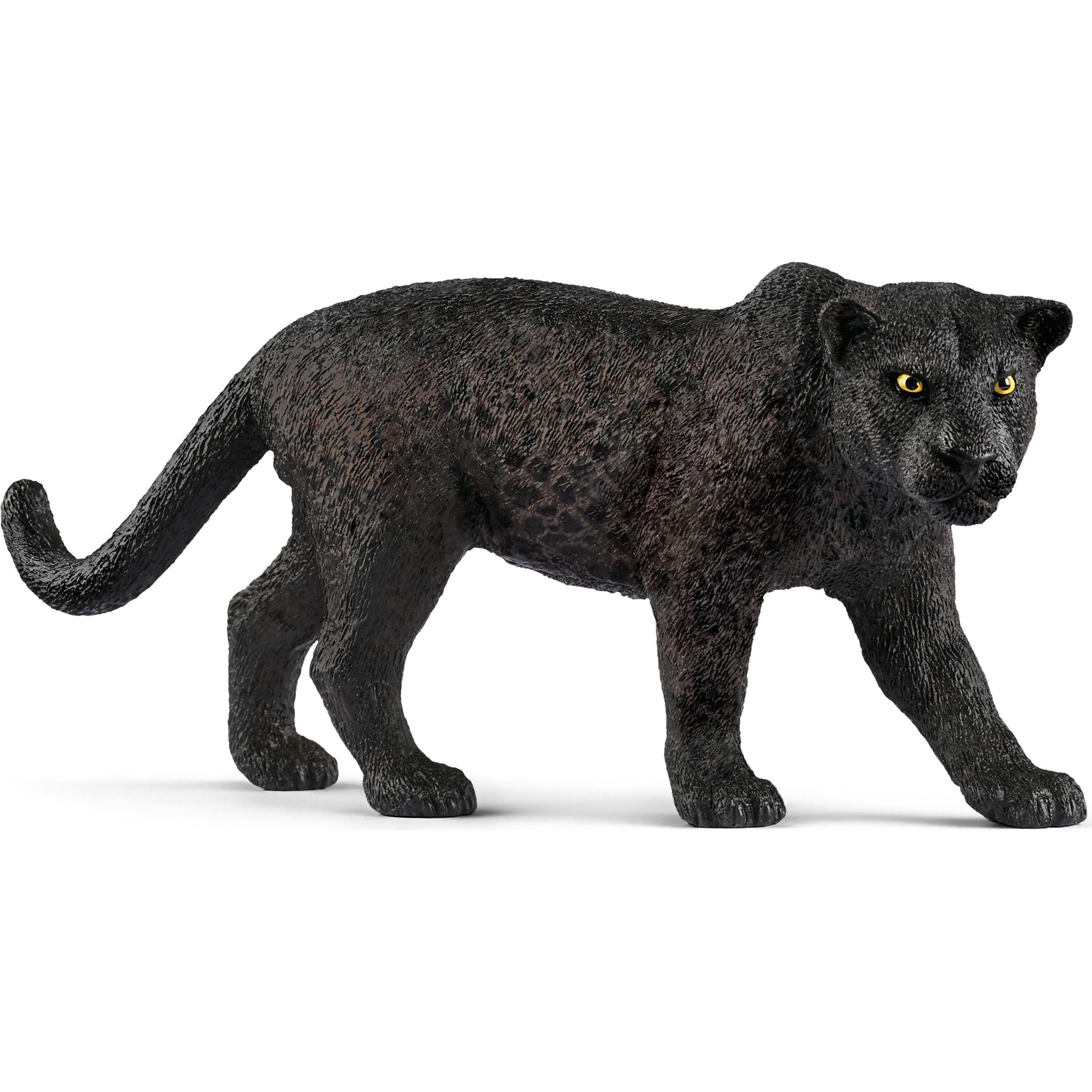 Mojo Schwarzer Panther