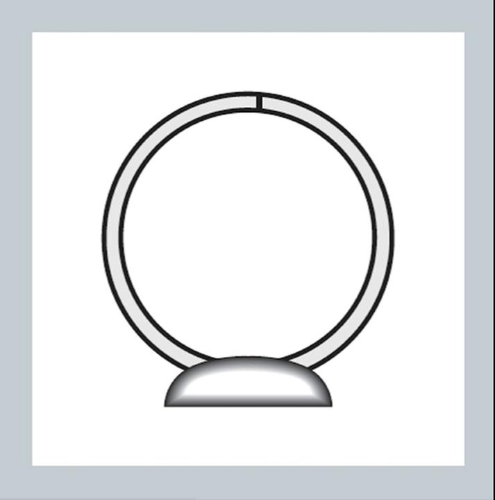 Actual product image Leitz Presentation ring binder (A4+, 300 mm, 1 Piece)