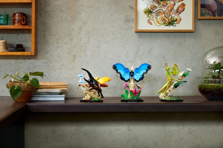 Actual product image LEGO Ideas The insect collection (21342, LEGO Ideas)