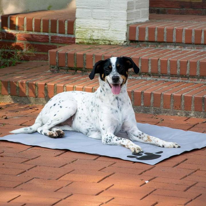 Image du produit Dobar Tapis de refroidissement (Chien)