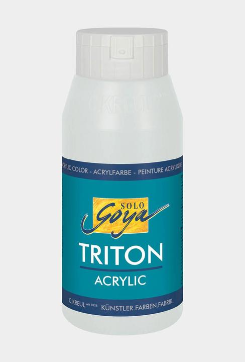 Actual product image Solo Goya Triton Acrylic (Silver, 750 ml)