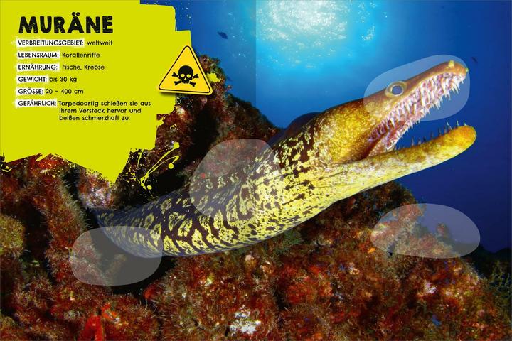 Image du produit Le cahier d'autocollants le plus dangereux du monde