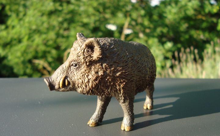 Produktbild Schleich Wildschwein