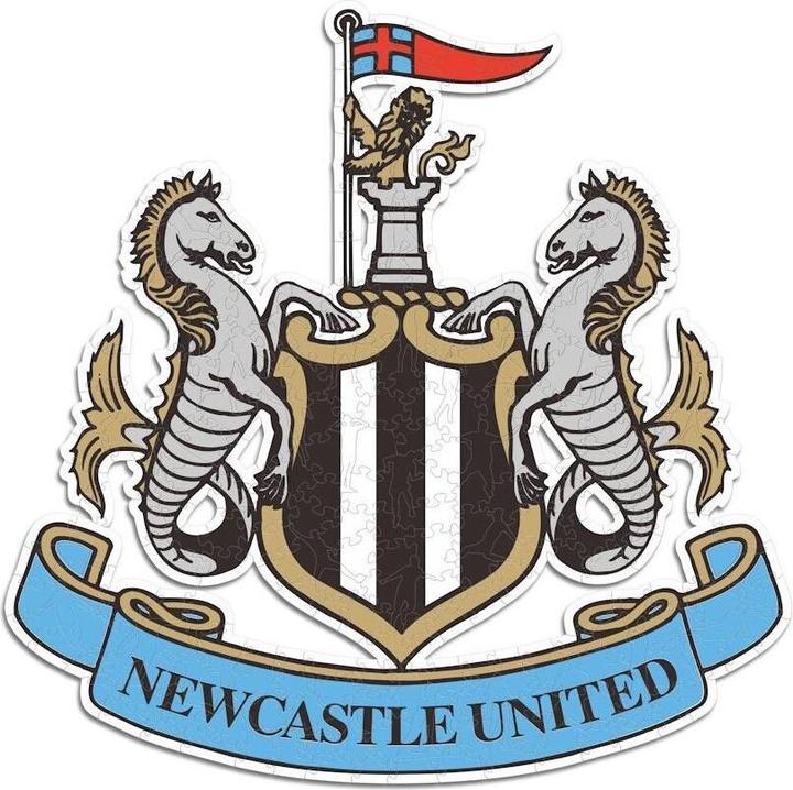 Produktbild Iconic Newcastle United FC - Logo - Holz Puzzle Grösse M (270 Teile) (270 Teile)