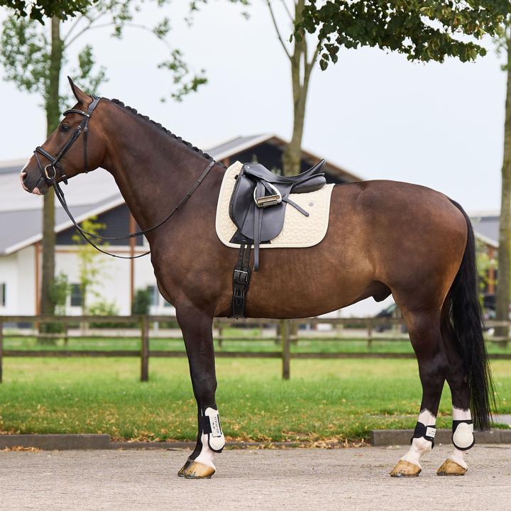 Produktbild HV Polo Essential GP