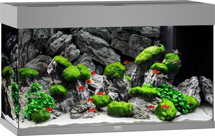 Juwel Aquarium Acquario Rio 125, 81x36x50cm, grigio (125 l)