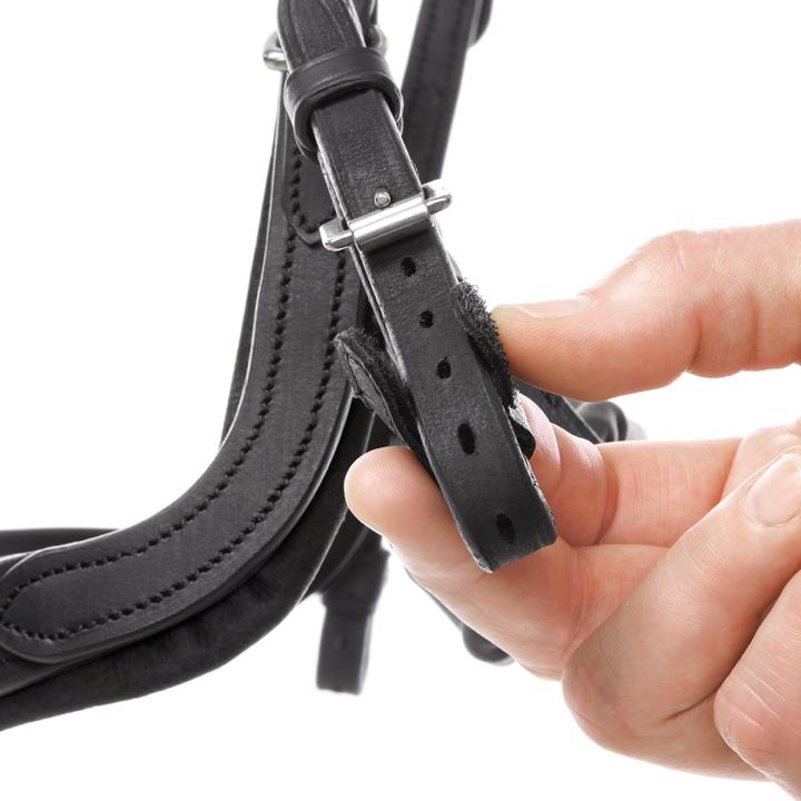 Produktbild Kavalkade Caliano Cerra English Nb. With Flash