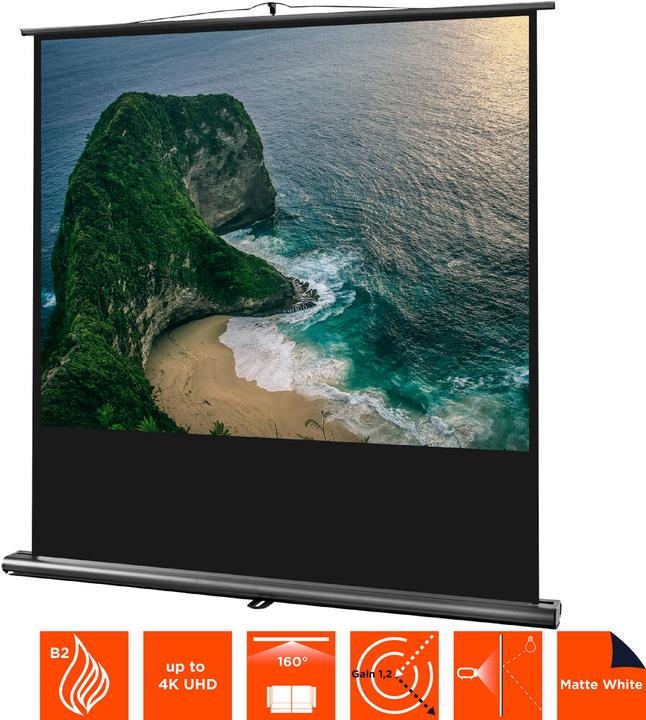 Actual product image Celexon Ultramobile Professional (57", 4:3)