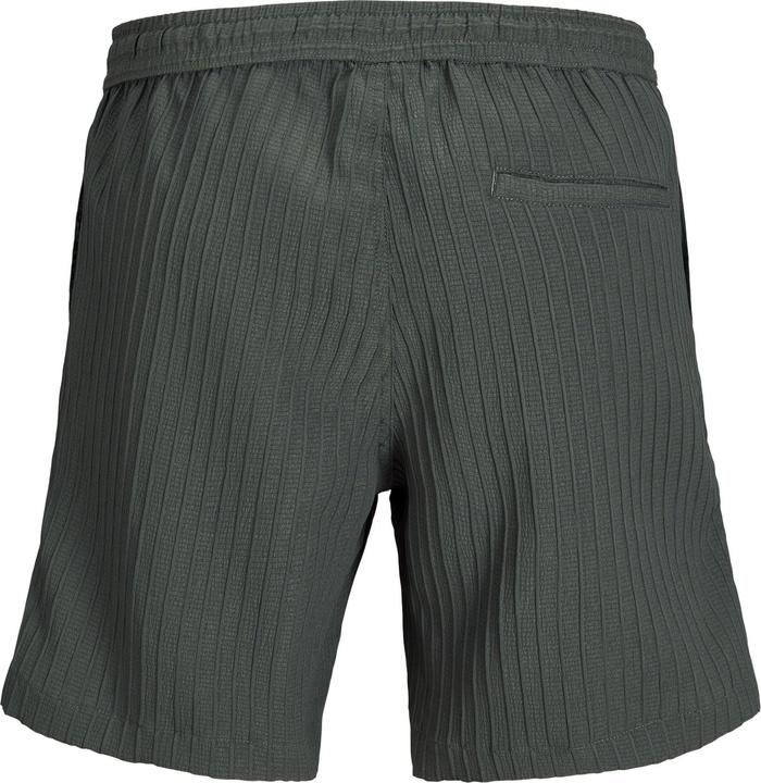 Actual product image Jack & Jones Regular Fit Relaxed Fit Shorts Relaxed Fit Shorts (XS)