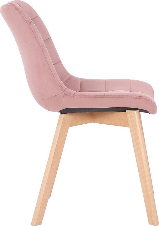 Image du produit CLP Passaic