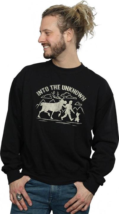 Actual product image Disney Mens Frozen 2 Into The Unknown Sweatshirt (L)