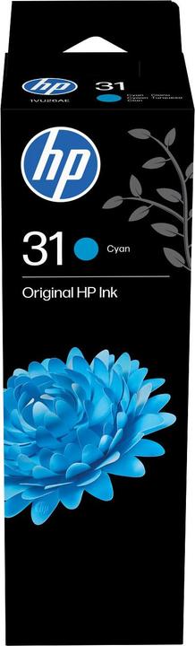 Actual product image HP 31 (C)