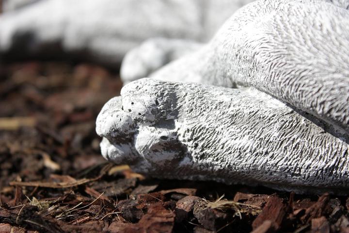 Image du produit Stoneandstyle Schlafende Katze