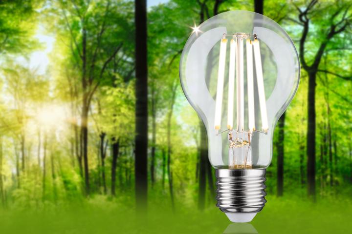 Produktbild Paulmann AGL Eco-Line Filament (E27, 840 lm, 1 x)