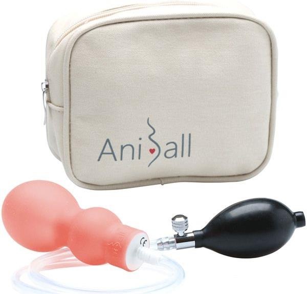 Produktbild Aniball Salmon (355 g)