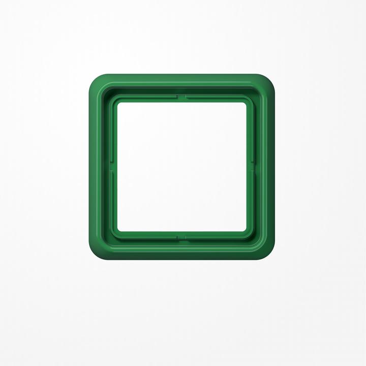 Actual product image JUNG Mounting frame 1f gn glz CD / CD 500 Kst CD581WUGN