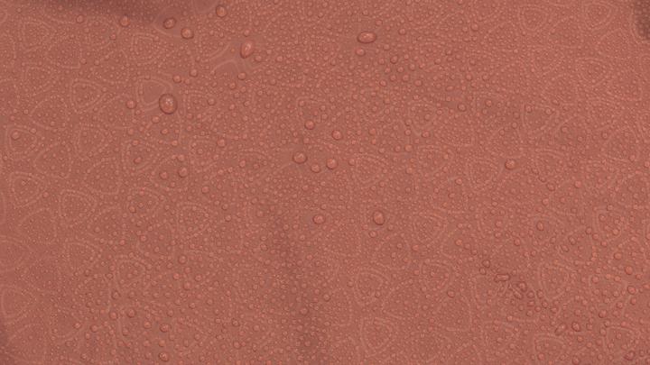 Actual product image Robens Arch 2 Tent (2 kg, 2 persons)