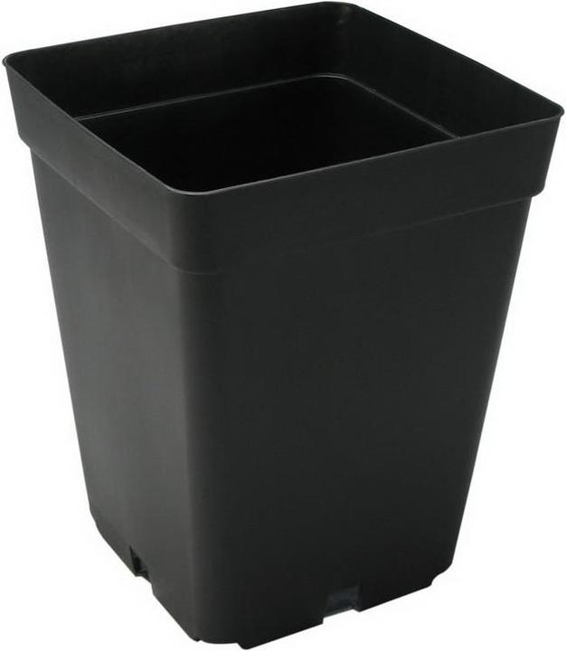 Actual product image Teku Square pot