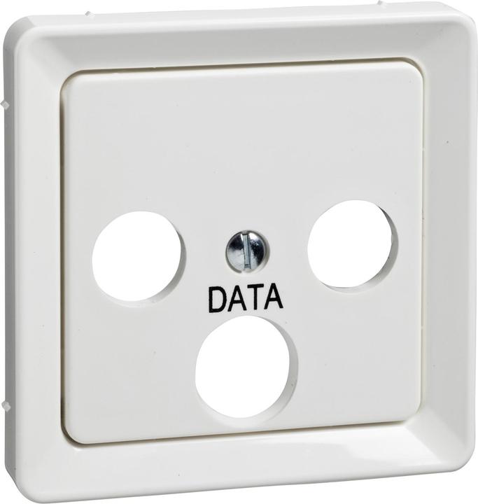Actual product image Schneider Electric Central plate