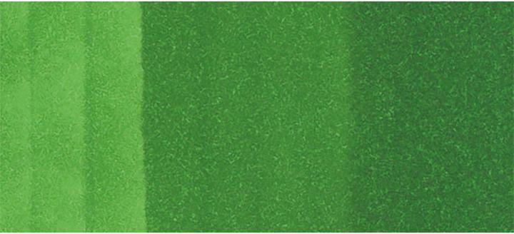Image du produit Copic Sketch type G - 07 (G07 - Nile Green, 1 x)