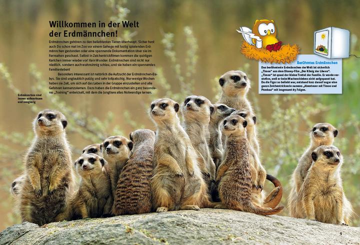 Produktbild Entdecke die Erdmännchen (Deutsch, Christian Ehrlich, 2023)
