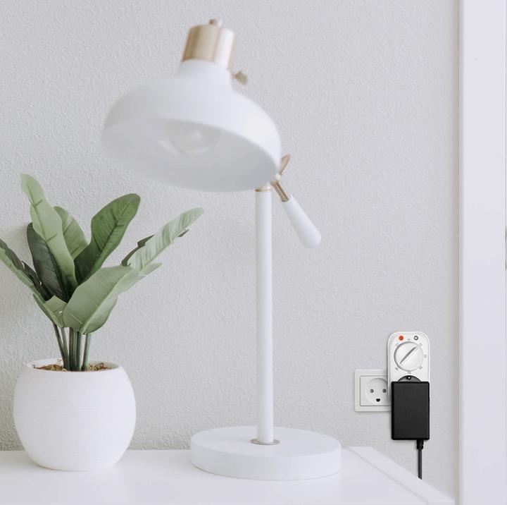 Image du produit LogiLink Minuterie (C12)