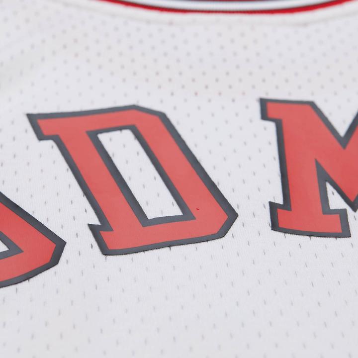 Produktbild Mitchell & Ness Swingman Mesh Jersey Chicago Bulls 1997 Dennis Rodman - S (S)